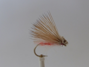 Size 10 October CDC Caddis